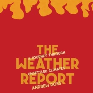 The Weather Report
