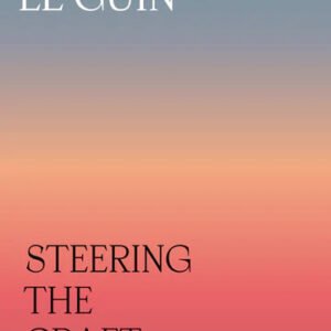 Steering the craft
