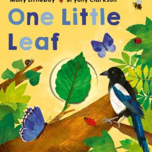 One Little Leaf Board book