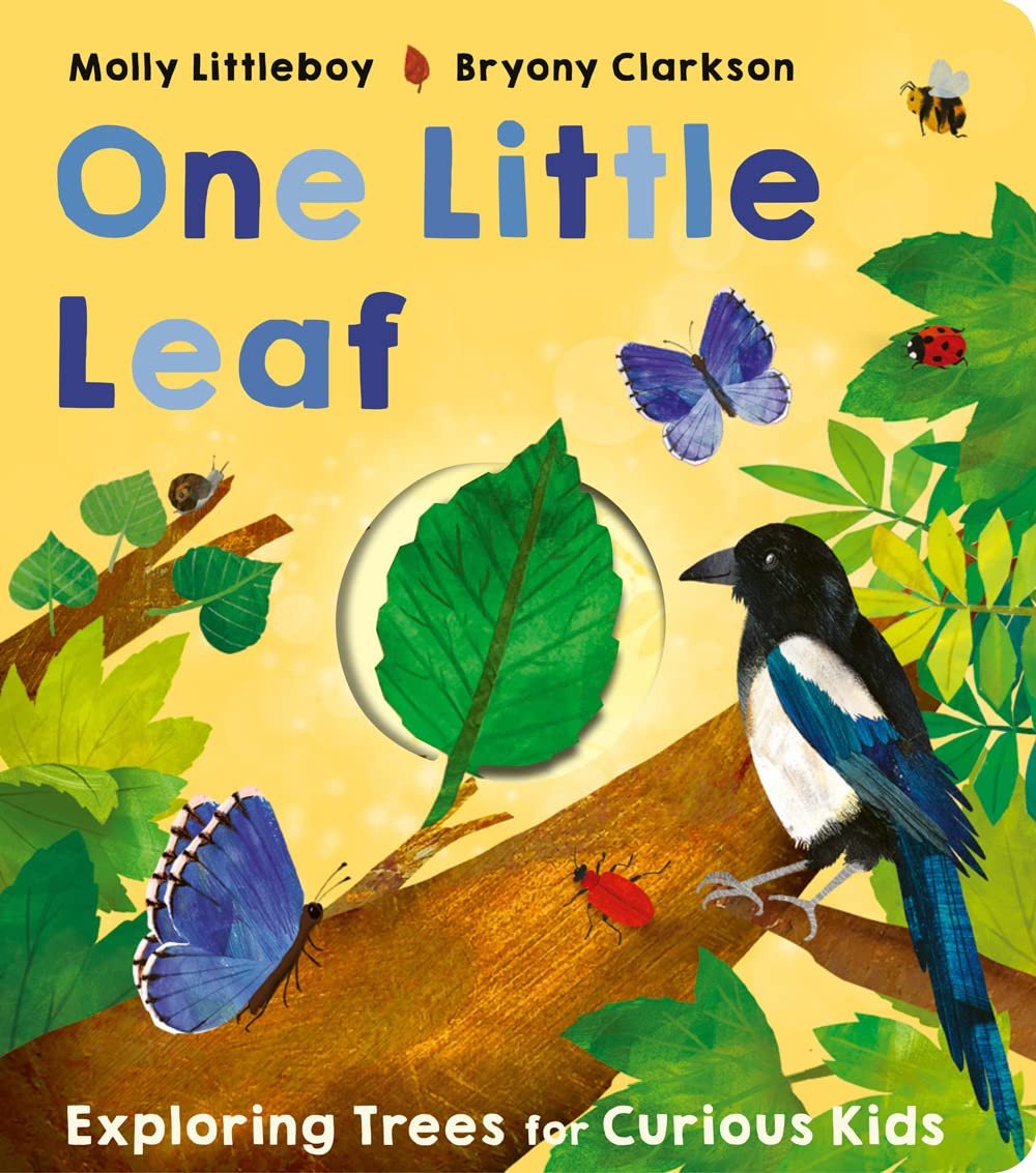 One Little Leaf Board book