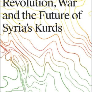 Rojava: Revolution, War and the Future of Syria's Kurds