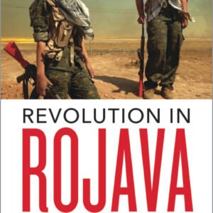 Revolution in Rojava Democratic Autonomy and Women’s Liberation in Syrian Kurdistan