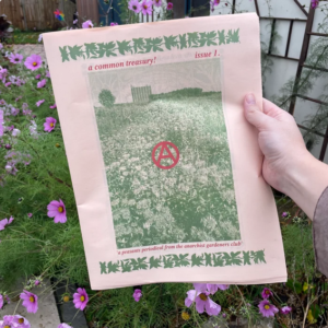 A Common Treasury ISSUE 1