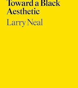 Any Day Now: Toward a Black Aesthetic