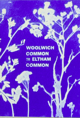 Woolwich Common to Eltham Common: A South London Landscape History