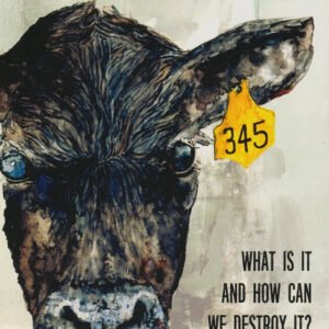 Capitalism: What it is and how can we destroy it?