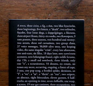 A Town, Three Cities, A Fig, A Riot, Two Blue Hyacinths, Three Beginnings, Five Letters - Lotte L.S. - Tripwire #10