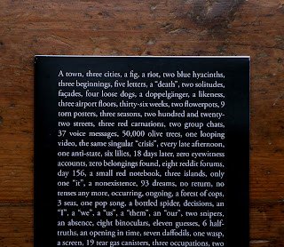 A Town, Three Cities, A Fig, A Riot, Two Blue Hyacinths, Three Beginnings, Five Letters - Lotte L.S. - Tripwire #10