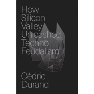 How Silicon Valley Unleashed Techno-feudalism:The Making of the Digital Economy