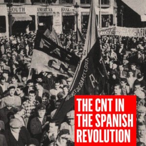 The CNT in the Spanish Revolution Volume 2