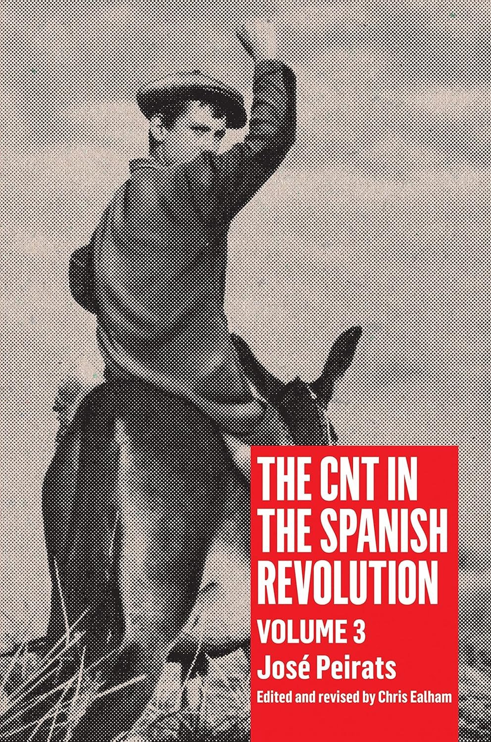 The CNT in the Spanish Revolution Volume 3