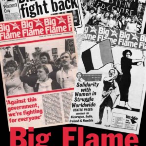 Big Flame – Building Movements, New Politics