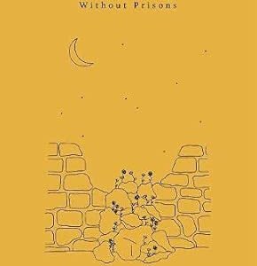 Brick by Brick How We Build a World Without Prisons