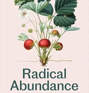 Radical Abundance: How to Win a Green Democratic Future