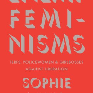 Enemy Feminisms