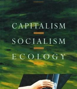 Capitalism, Socialism, Ecology