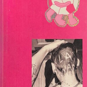 A Moment’s Violence / No Gods No Masters zine