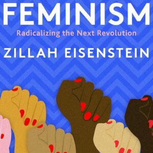 Abolitionist Socialist Feminism: Radicalizing the Next Revolution
